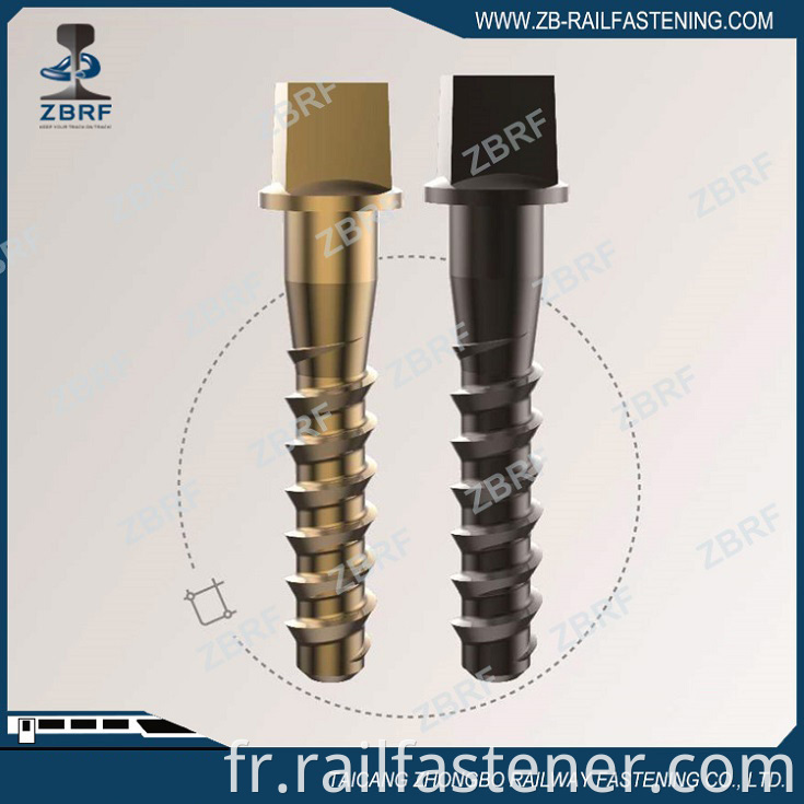 North America Screw Spike